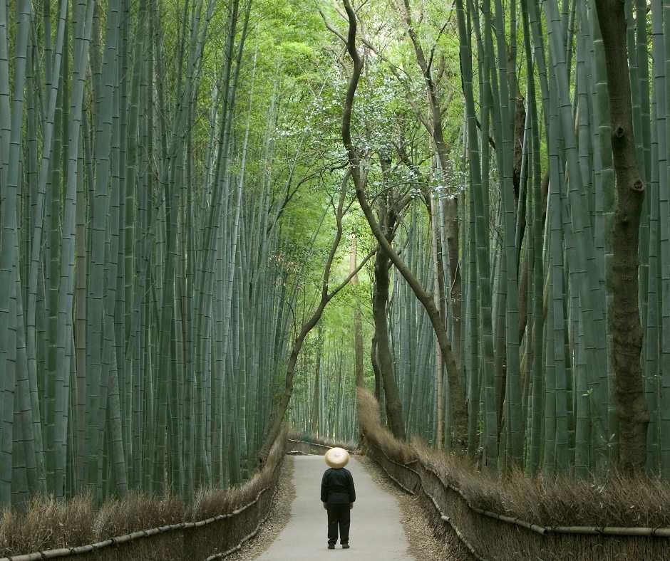 teach english in japan